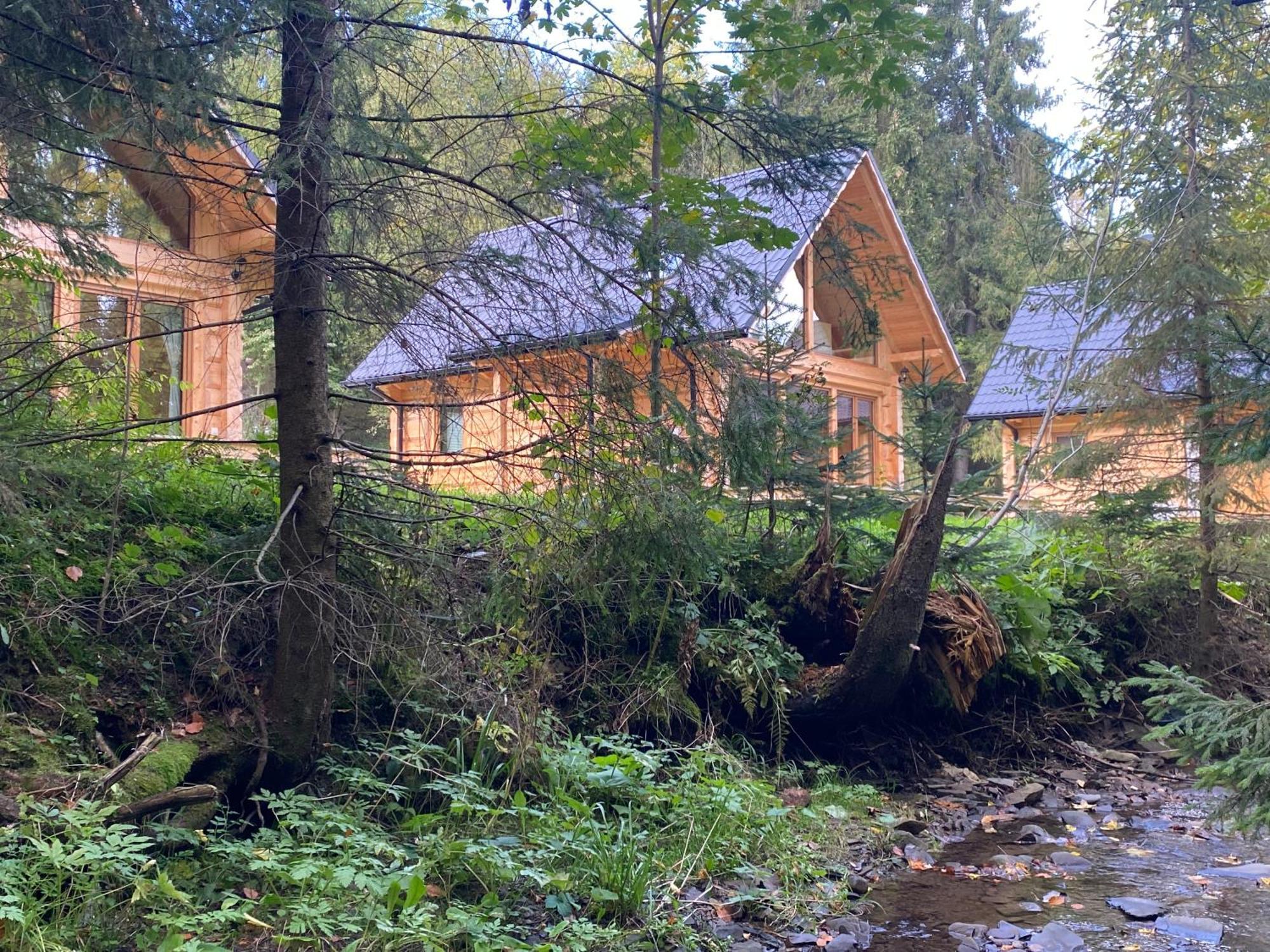 Domki I Pokoje Z Dostepem Do Spa Łapsze Niżne Buitenkant foto